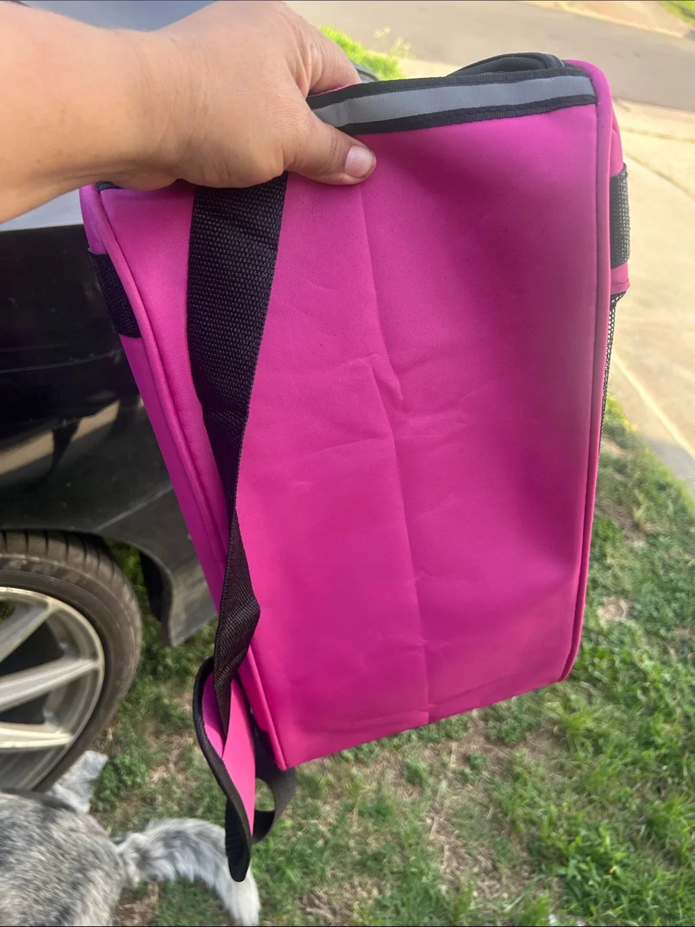Versatile Pink Small Pet Carrier Bag with Padded Strap